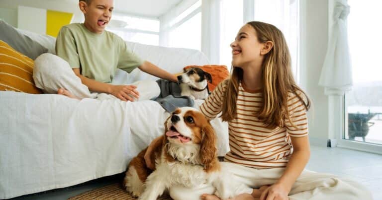 Así es tu personalidad si sos de esas personas que le habla a las mascotas como si fueran humanos