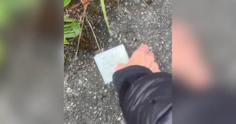 Descubrió un cheque tirado en la calle y terminó su día con una recompensa: «Fue increíble»