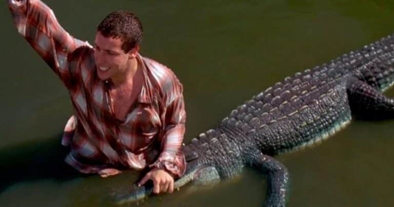 Trabajó con Tom Cruise, Adam Sandler y Brad Pitt y murió en paz: el cine despide al mítico caimán Morris