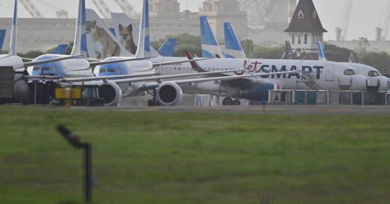 El Gobierno modificó el Código Aeronáutico: eliminó la obligación de contar con personal argentino en la tripulación y el directorio de las empresas