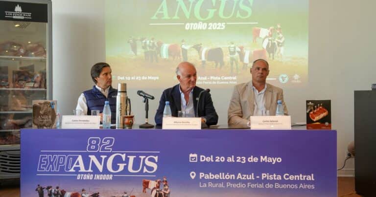 Los Angus llegan a la Capital con un récord de animales y nuevas propuestas