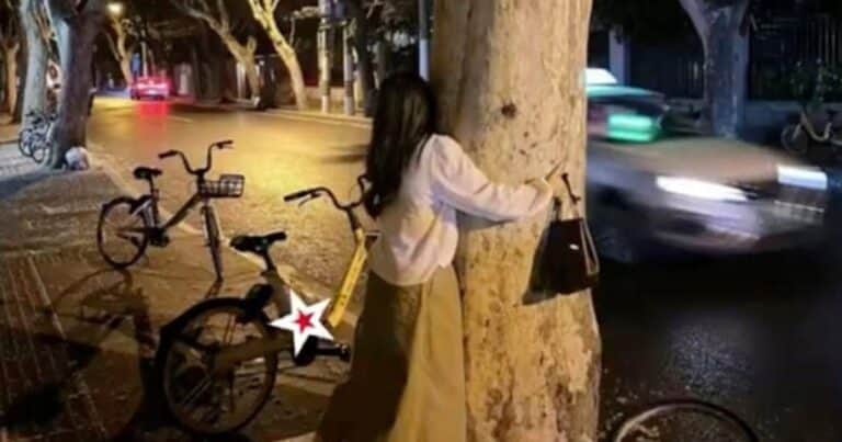 Estaba borracha, abrazó un árbol y se le ocurrió una insólita idea