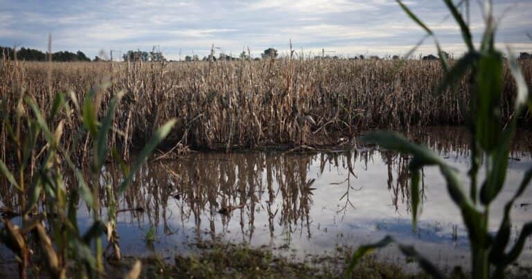 Sólo la tecnología puede revertir el cambio climático