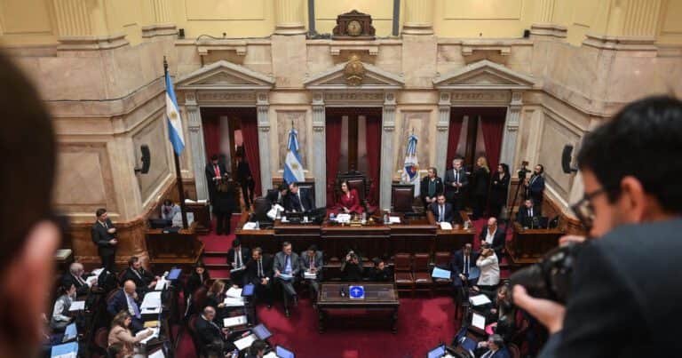 Polémica en el Senado con los ascensos militares: apuntan a una «doble vara» y a la tensión entre Petri y Villarruel