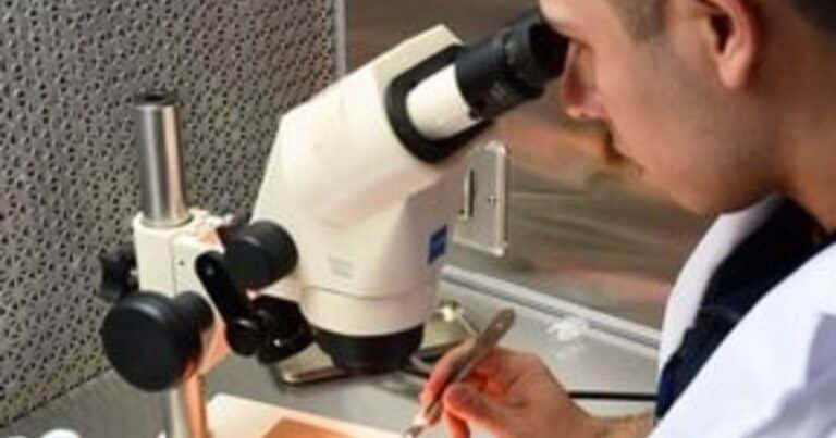 CREA alertó sobre posibles cambios en el INTA y reclamó una transformación con equilibrio institucional