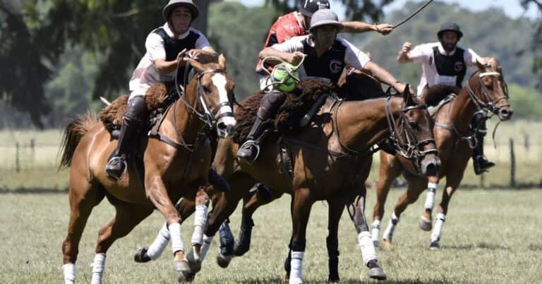 Pese al campo y a que Pato es el deporte nacional, el Gobierno no votó en la ONU a favor de un Día Nacional para el caballo