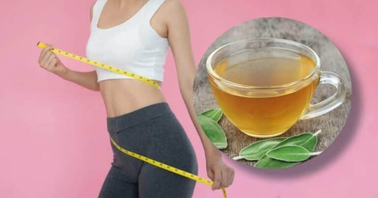 Infusión de limón, canela e hibiscus: cómo se hace, para qué sirve y todas sus propiedades