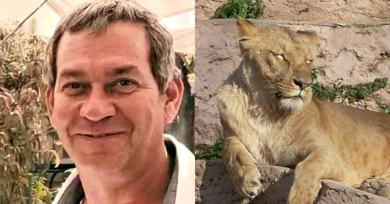 Quién era el CEO alemán que fue devorado por una leona en un safari de lujo