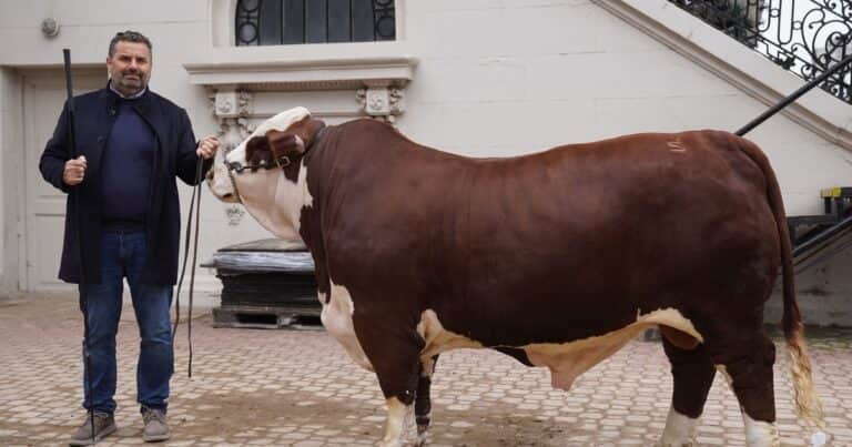 Juan Manuel Alberro: “Tenemos que encarar en serio la trazabilidad”