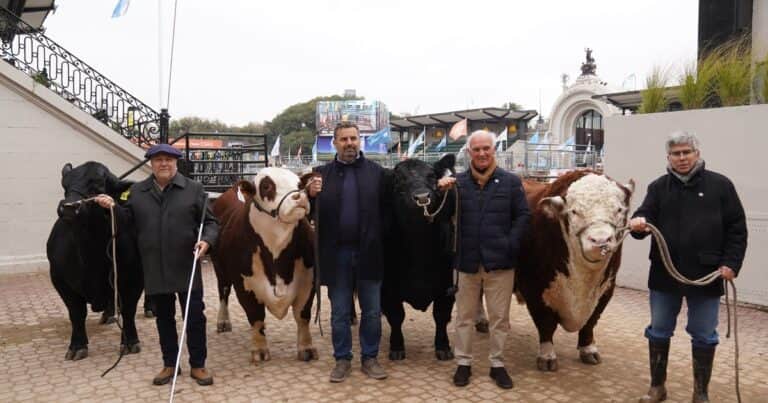 Expo Rural de Palermo: en uno de sus mejores momentos, la ganadería se luce y quiere ir por más