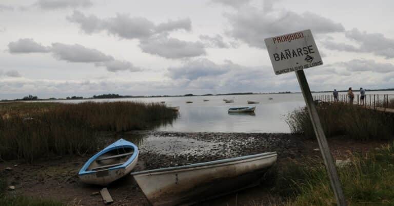 Cómo detectar si una playa tiene aguas contaminadas antes de meterte