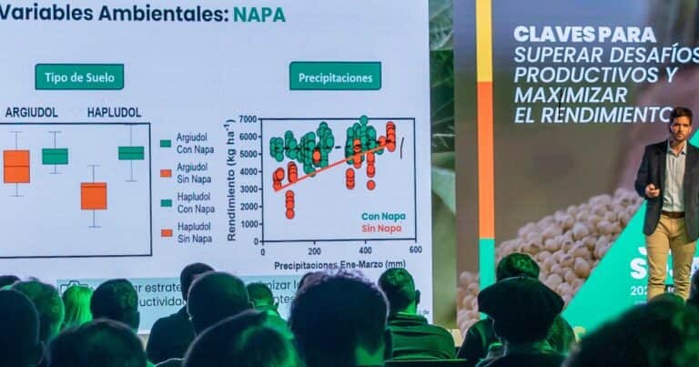 Soja: innovación, genética y futuro