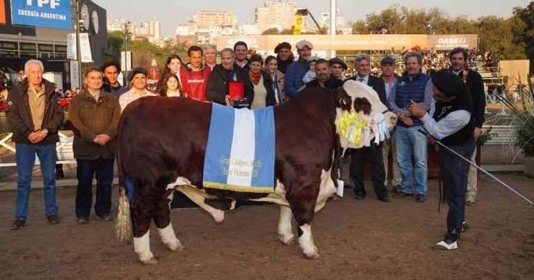 «Impresionante»: Braford coronó a sus grandes campeones en la pista central de la Expo Rural de Palermo