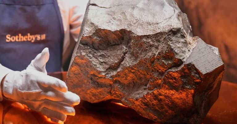 Subastaron el meteorito más grande de Marte hallado en la Tierra: pagaron 5,3 millones de dólares