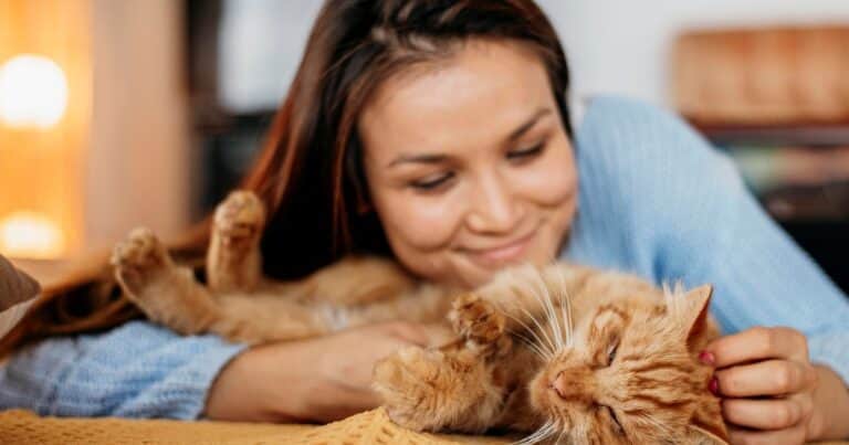 Por qué muchas personas disfrutan de acariciar a los gatos, según la psicología