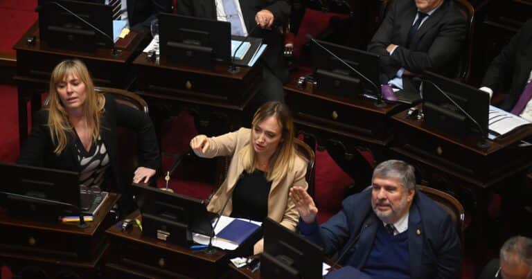 El fallido de una senadora de La Cámpora en plena sesión: confundió el nombre de su bloque y lo llamó “Unión por la Plata”
