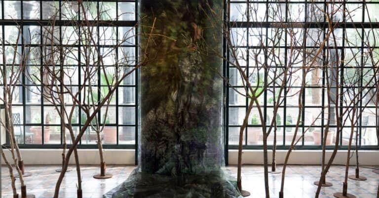 ‘Confluencias’: siete fotógrafos exhiben naturaleza en el castillo del Colegio Marín