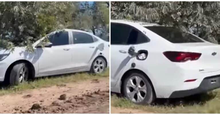 Encuentran muertos a un hombre y a una mujer dentro de un auto abandonado en San Antonio de Areco