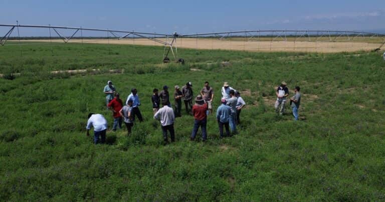 Conectados, a la vanguardia de la nueva agricultura
