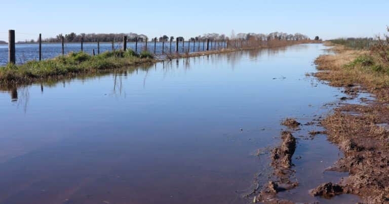 Presentaron un proyecto de ley para reformar el régimen de emergencia agropecuaria