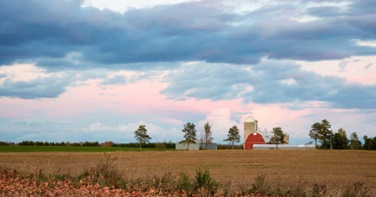 La naturaleza es amenazada por una producción agroalimentaria de tipo industrial