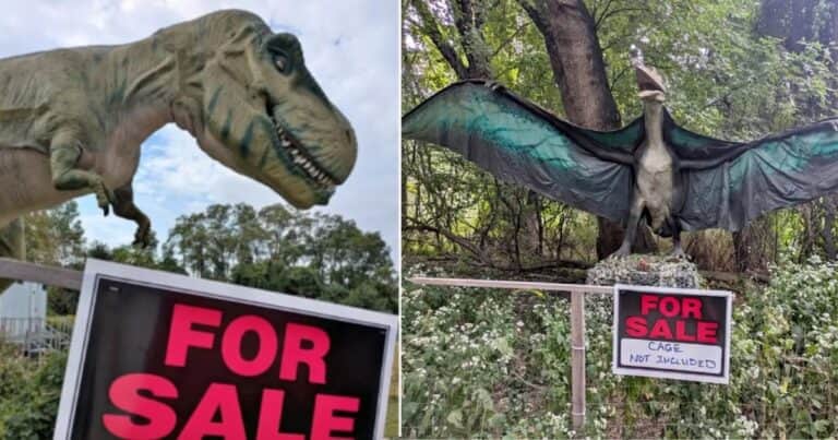 Un parque temático cierra sus puertas y vende sus dinosaurios de tamaño real: cuánto cuestan y quiénes pueden comprarlos