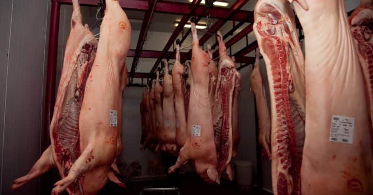 «Competencia desleal»: invasión desde Brasil de uno de los cortes preferidos por los argentinos
