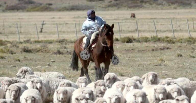 Cómo sostener la compatibilidad entre el trabajo temporario y los planes sociales en el sector rural