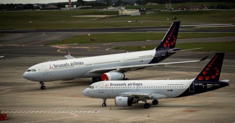 Una línea aérea despidió a 3 azafatas que se negaron a volar en un avión con insectos
