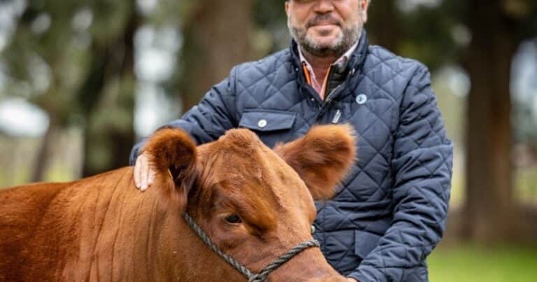 Cabrales, el rey del café, apuesta fuerte por la carne certificada