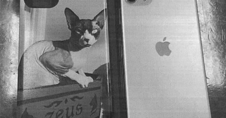 Yategate: la Justicia no pudo abrir el celular de Sofía Clerici, pero avanza el peritaje sobre los bienes de Martín Insaurralde