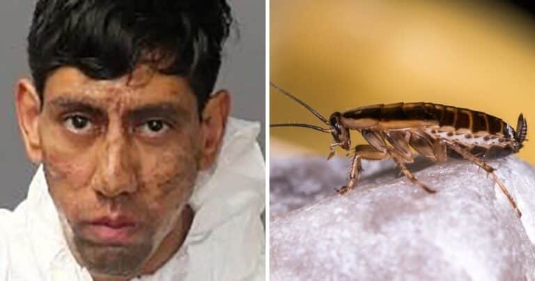 Mató a dos hombres y dijo que recibió la orden de una cucaracha: «Tenía que hacer lo que tenía que hacer”