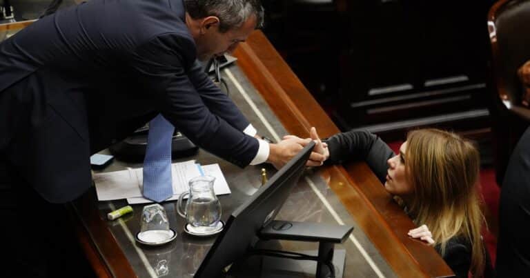 Martín Menem defendió a Lilia Lemoine ante las críticas por sus peleas en el Congreso: «Cada uno se expresa como puede»