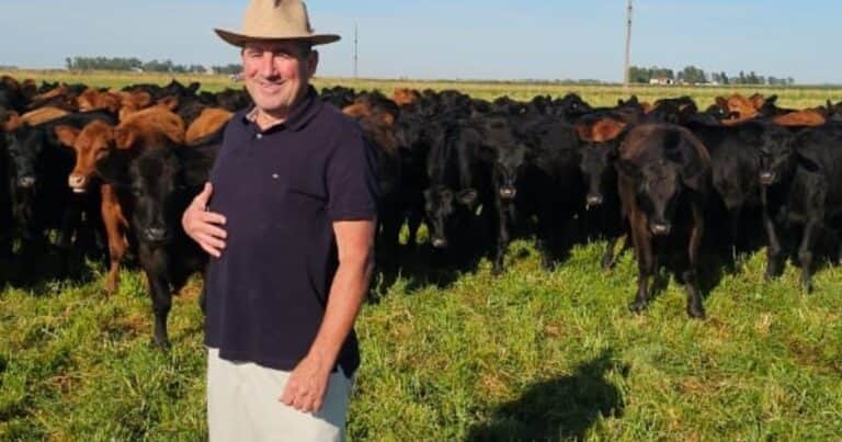 «La vedette»: un productor modificó el esquema productivo y le quitará superficie a la agricultura por el gran momento de la ganadería
