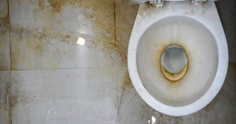 El truco casero que elimina el sarro en grifos e inodoros sin esfuerzo