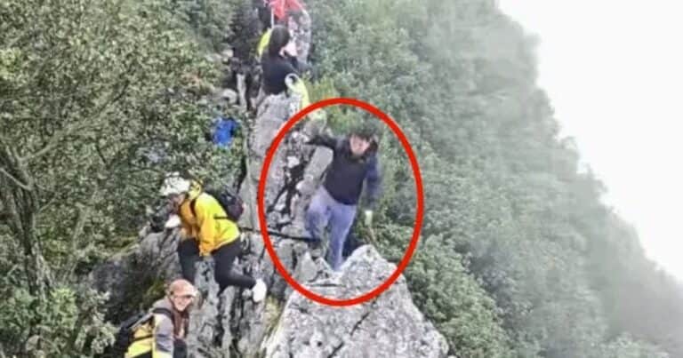 Un turista se cayó de un acantilado de 40 metros de altura y sobrevivió: el video