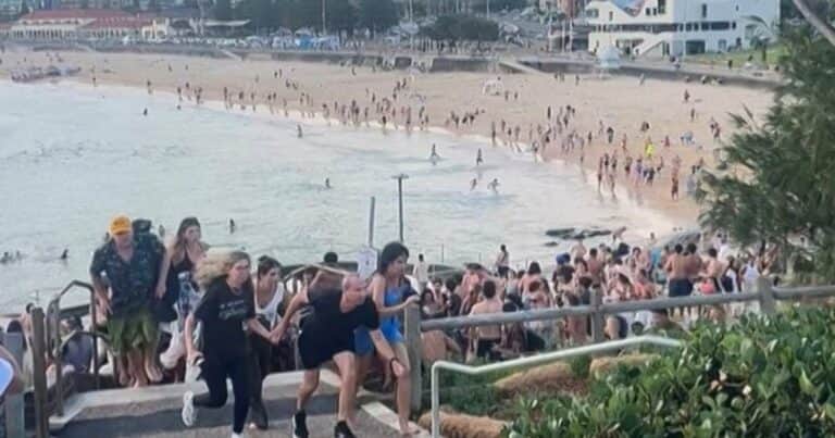 «Escenas impactantes y angustiosas»: los dramáticos videos del ataque terrorista en Australia