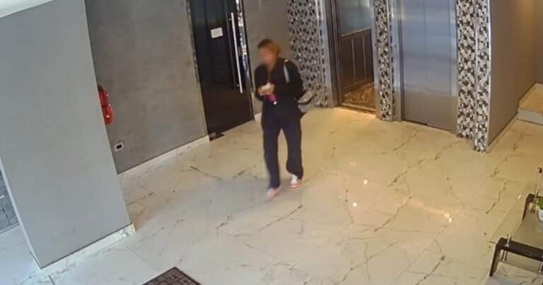 La viuda negra que dejó los dedos marcados: una huella dactilar permitió identificarla y fue detenida en Villa Urquiza