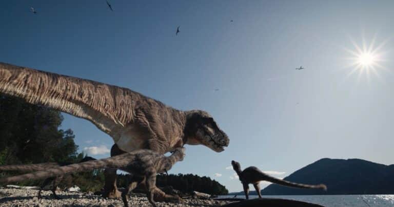 Nuevos estudios demuestran que los Tyrannosaurus rex, el «rey de los dinosaurios», vivieron más de lo que se pensaba