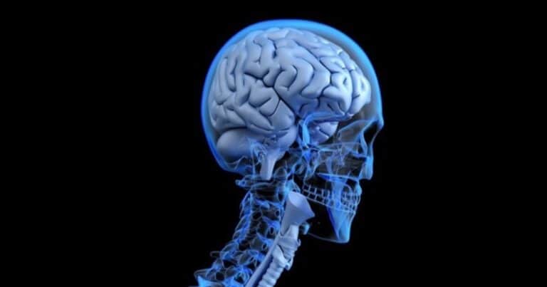 El perfil psicológico de una persona influye en el deterioro cognitivo con la edad