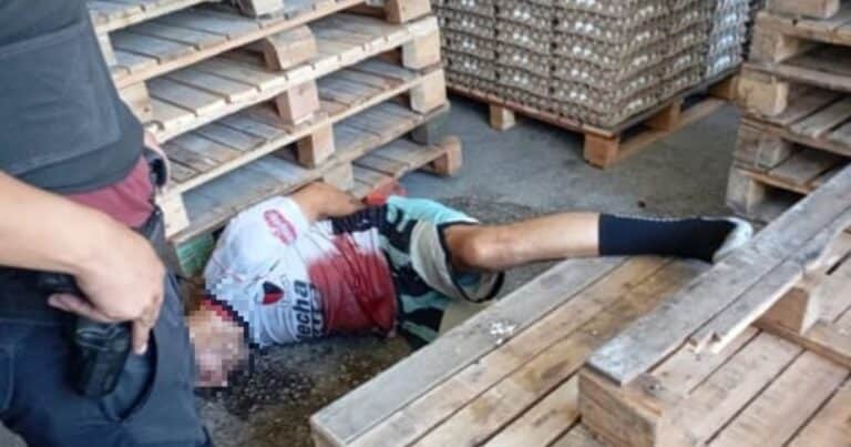 «Ya está, hermano, me rompiste la panza»: la súplica de un ladrón baleado en un depósito de huevos en Parque Avellaneda