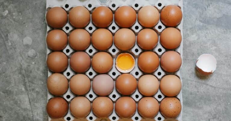 La producción de huevos creció casi 9% en 2025 y la Argentina se convirtió en el principal consumidor por habitante del mundo