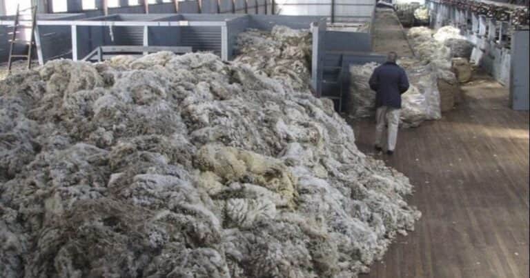 El Gobierno autorizó la exportación directa de lana sucia por parte de los productores y creó una categoría específica para facilitarlo