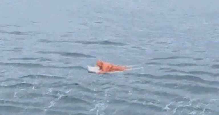 Un hombre fue rescatado tras pasar 17 horas a la deriva en el mar: se aferró a la puerta de una heladera para sobrevivir
