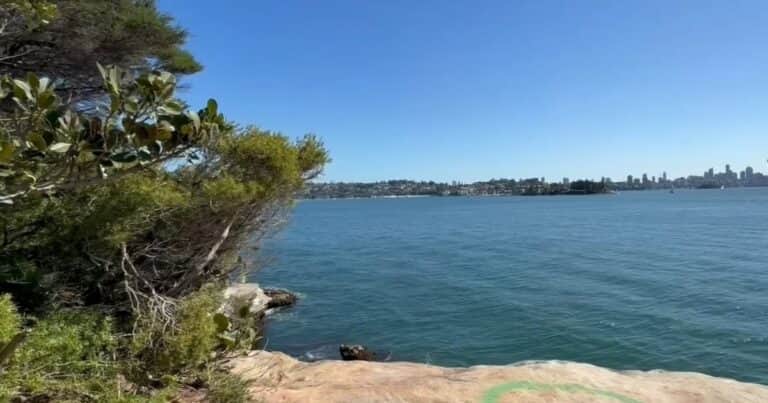 Australia: murió un chico de 12 años tras ser atacado por un tiburón mientras jugaba en el agua con sus amigos