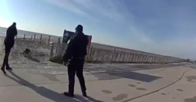 Tras atacar a un grupo de personas, un mapache «feroz» fue asesinado por la policía: el impactante video