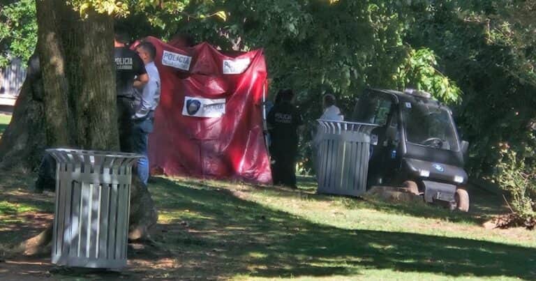 Un paseador de perros encontró a un hombre muerto en un parque de Saavedra: tenía una puñalada en el pecho