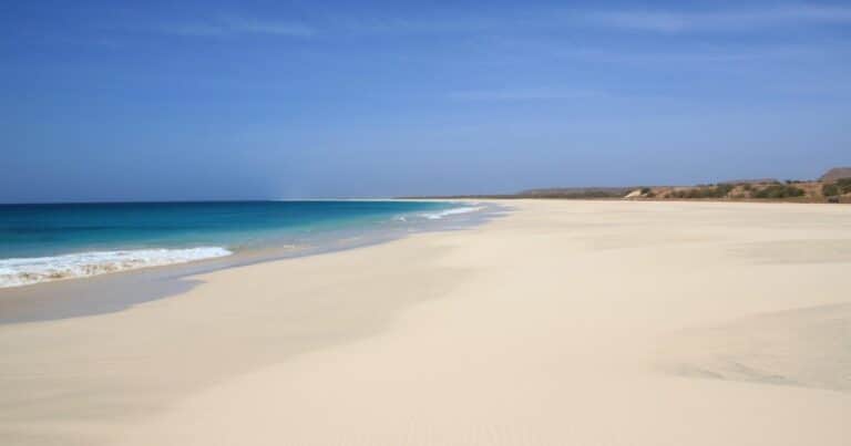 Las vacaciones paradisiacas que se transformaron en una pesadilla: seis turistas muertos y más de 150 personas enfermas