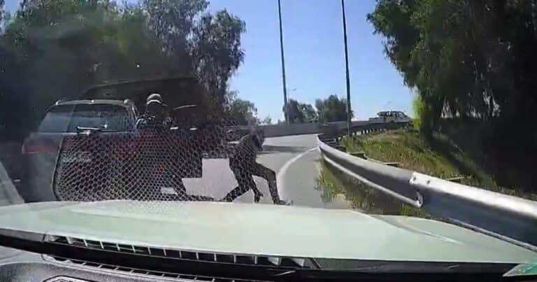 Atropelló a un ladrón que le quiso hacer una encerrona: el impactante video de un robo frustrado en Chile