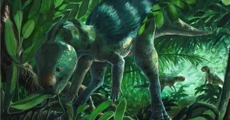 El hallazgo de un dinosaurio del tamaño de un perro reabre un debate entre científicos
